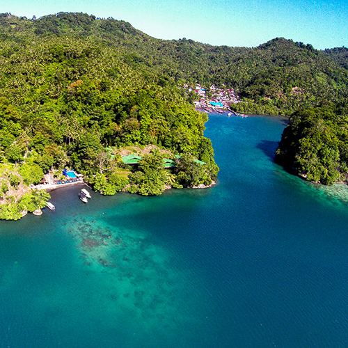 Diving North Sulawesi Indonesia