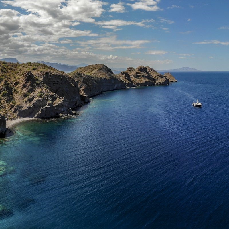 Sea of Cortez liveaboard och safaris liveaboard