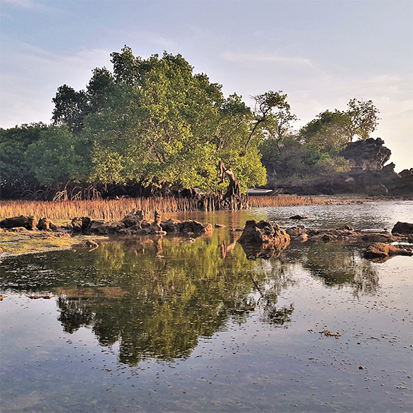 Dykresa till Alor i Indonesien