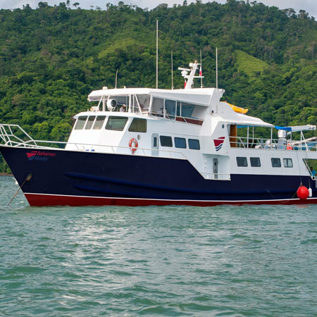 Bahamas Master Liveaboard