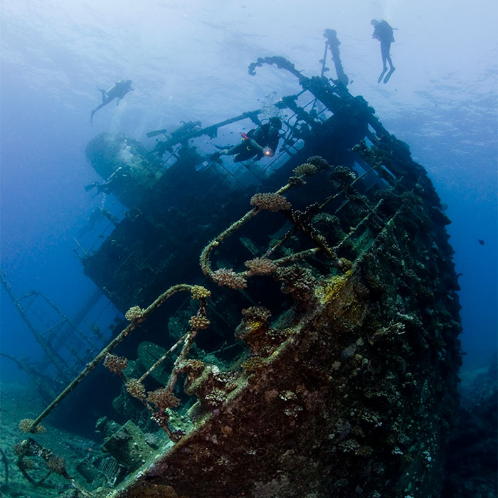 North and Brothers Egypten, liveaboard 