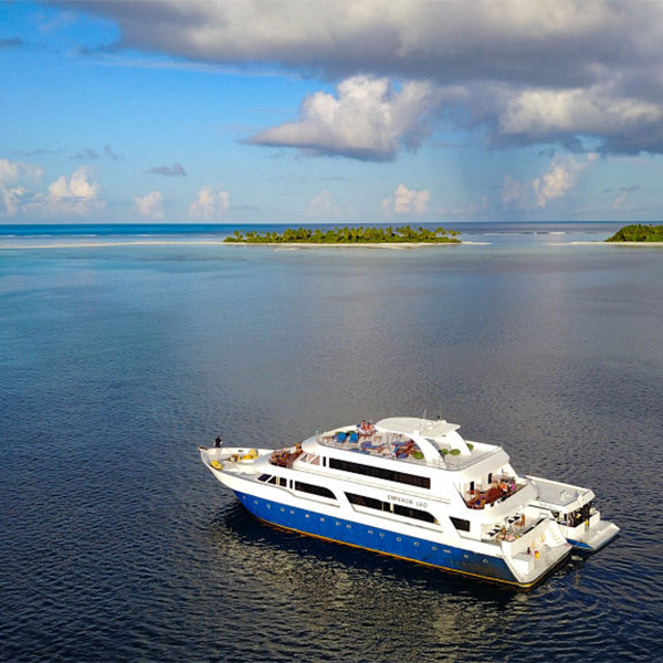 Emperor Leo Liveaboard i Maldiverna