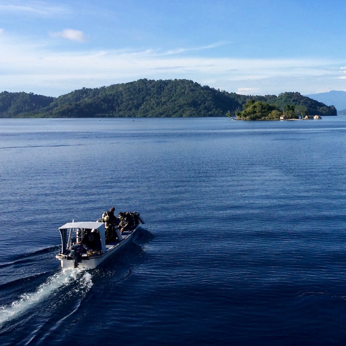 Sulawesi Liveaboard safari Indonesien