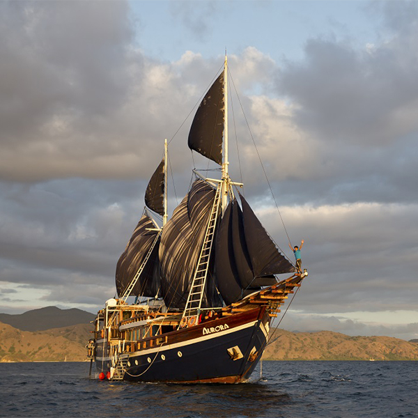 Dune Aurora Liveaboard Raja Ampat, Indonesien