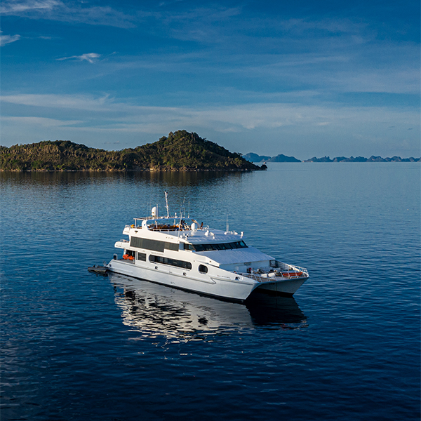 Solitude Adventurer Liveaboard Indonesien