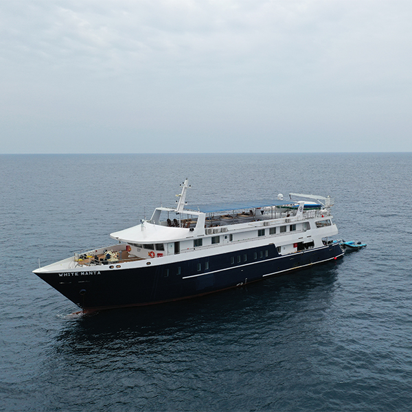 White Manta Liveaboard Raja Ampat, Indonesien