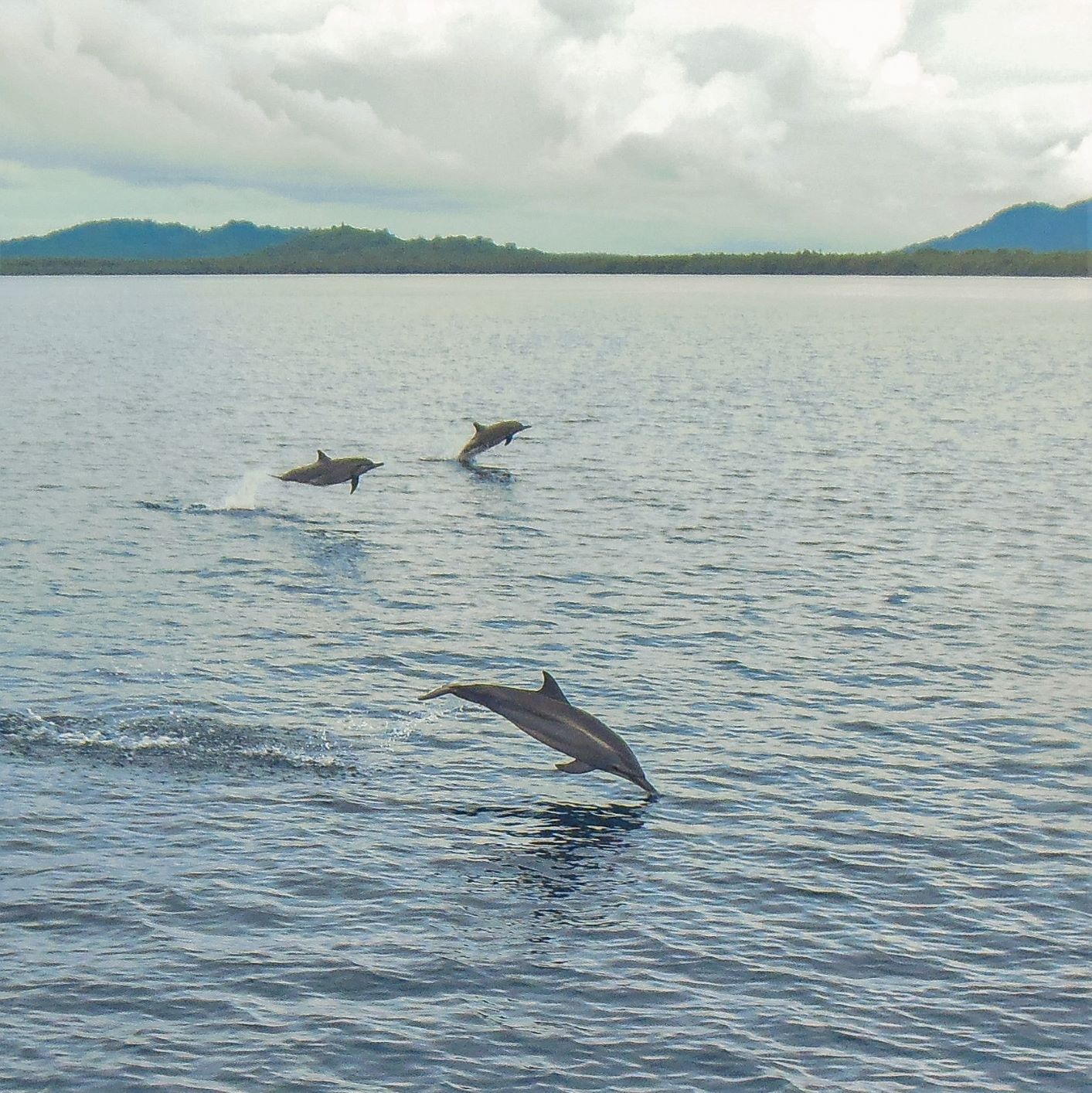 Solomon Islands