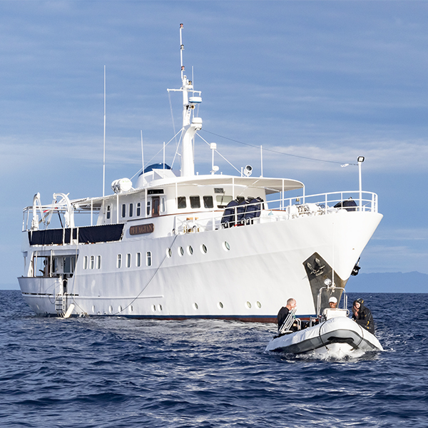 Pelagian Liveaboard Wakatobi