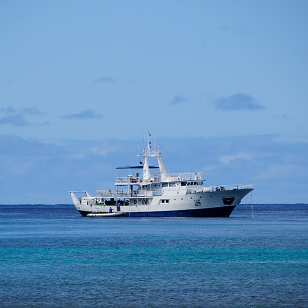 Cocos Okeanos Aggressor Liveaboard