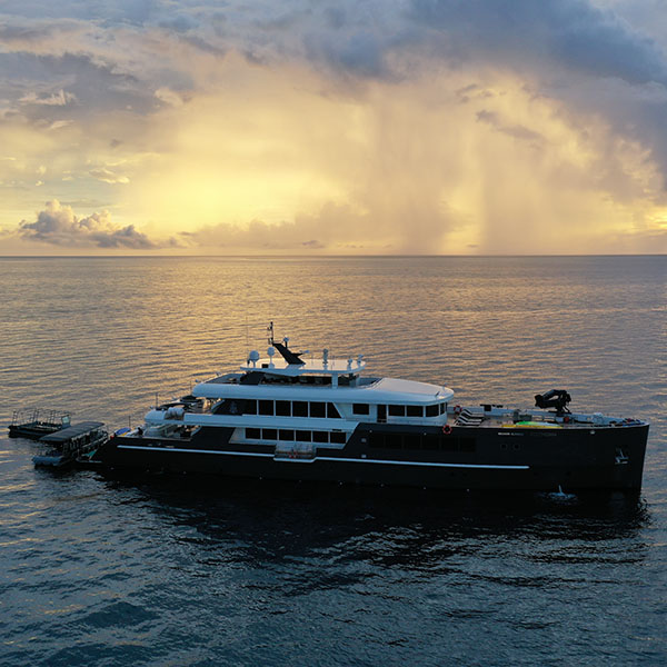 Black Pearl Liveaboard Palau