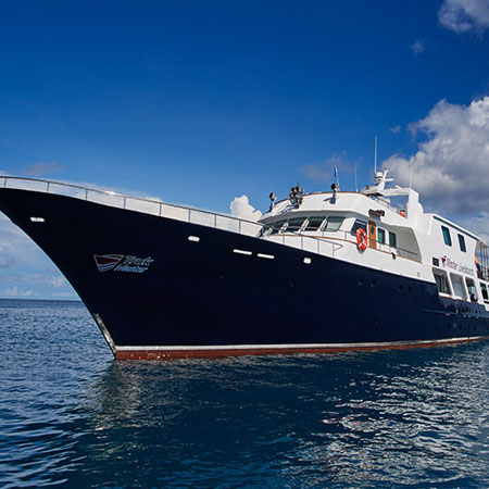 Solomon Master Liveaboard