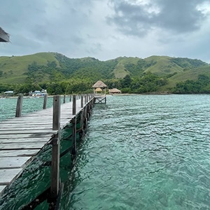 Clownfisk i Komodo, dyk med Scuba Travel